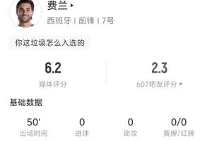 费兰半场数据:3射门1射正1中框 丢失球权14次 地面对抗6成功0配图