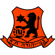 比尼叶胡达队徽